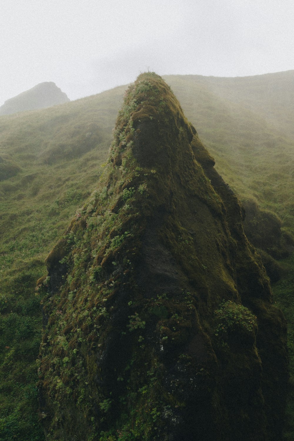 a large mound of grass on a hill