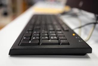 User entering an activation key on a modern desktop interface.