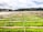 Rows of vibrant green crops grow under protective covers in a sprawling agricultural field. In the background, a small town is nestled at the base of lush hills under a partly cloudy sky.