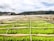 Rows of vibrant green crops grow under protective covers in a sprawling agricultural field. In the background, a small town is nestled at the base of lush hills under a partly cloudy sky.