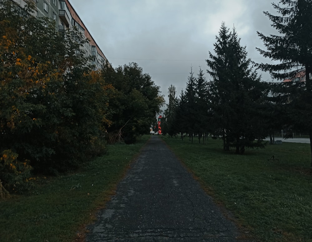 Una strada alberata e un edificio sullo sfondo