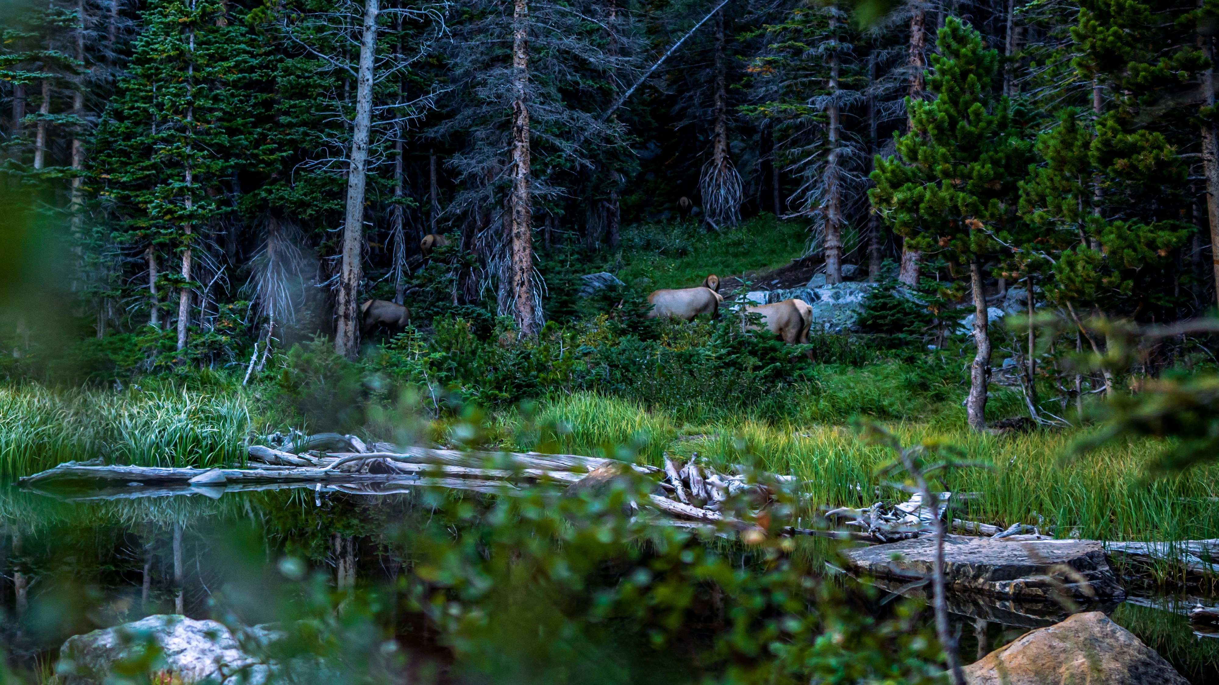 Photo by andyasmarketing