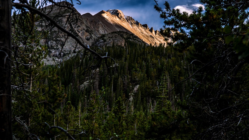 a view of a mountain through some trees