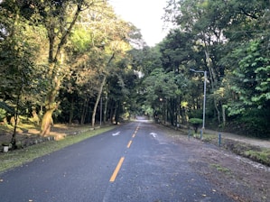 Close-up of a paved internal road with street lighting and lush greenery on both sides.