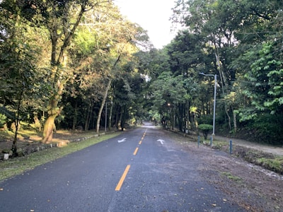 Close-up of a paved internal road with street lighting and lush greenery on both sides.