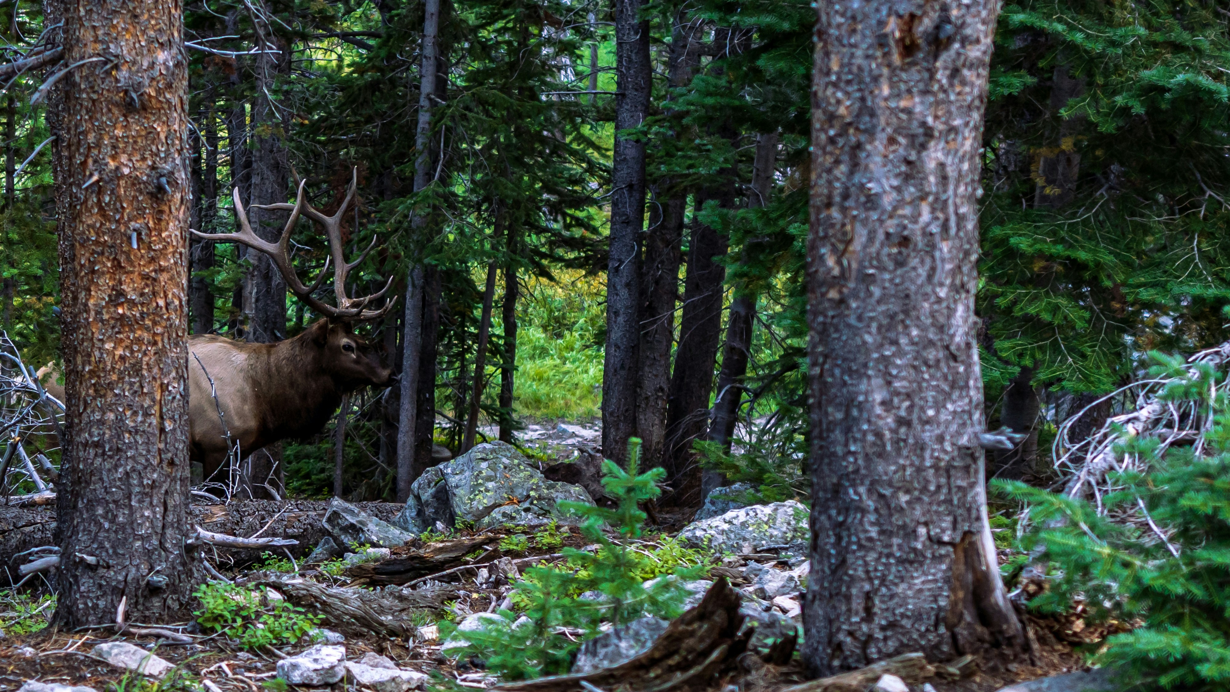 Photo by andyasmarketing