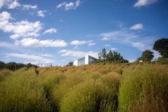A modern resort building surrounded by green hills and blue sky