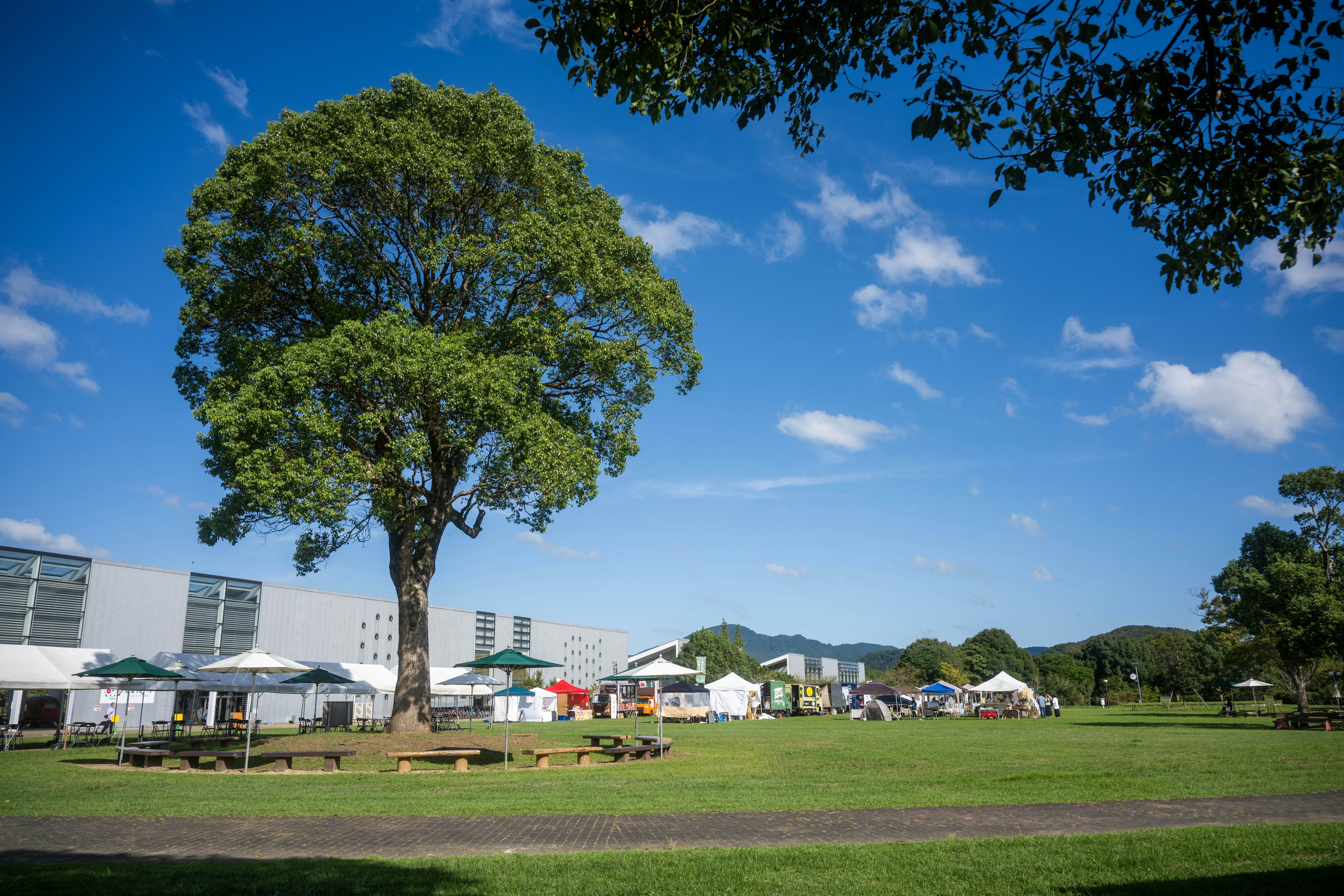 Milford Park