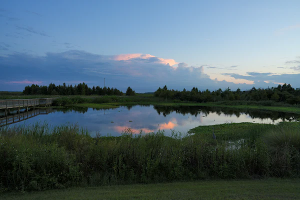 A view of Gainesville, FL