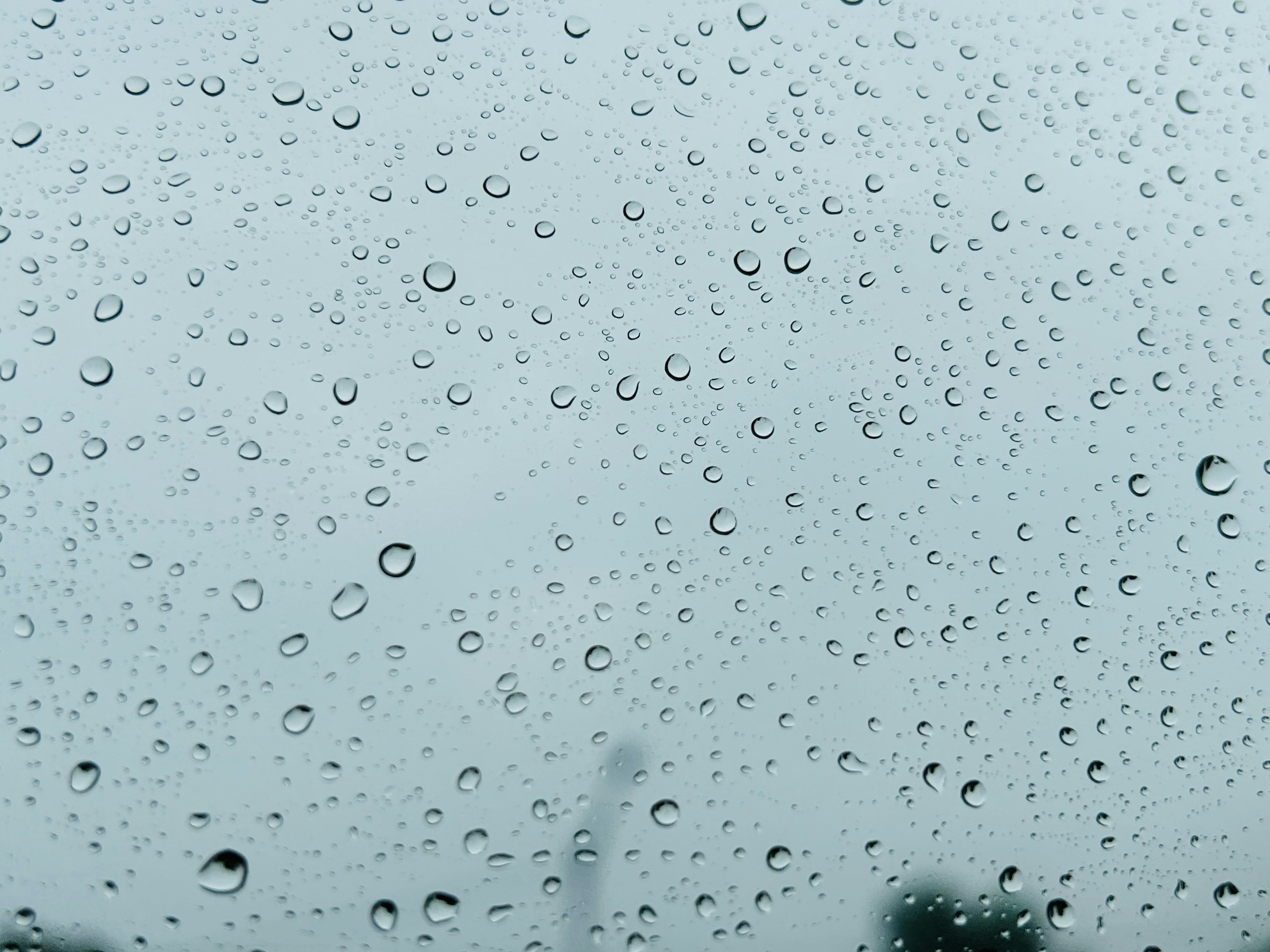 Photo by payalbadhran