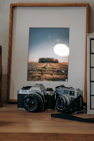 Two vintage cameras, a Nikon and a Canon, rest on a wooden surface with a framed photograph in the background. The photograph features a landscape with a field and trees under a clear sky. The setup evokes a nostalgic feeling of classic photography.