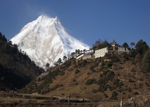 The majestic Kedarnath temple framed by rugged Himalayan mountains under a clear blue sky.