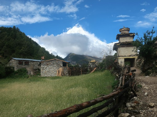 Exploring the Serenity of Himalayan Mountain Homestays