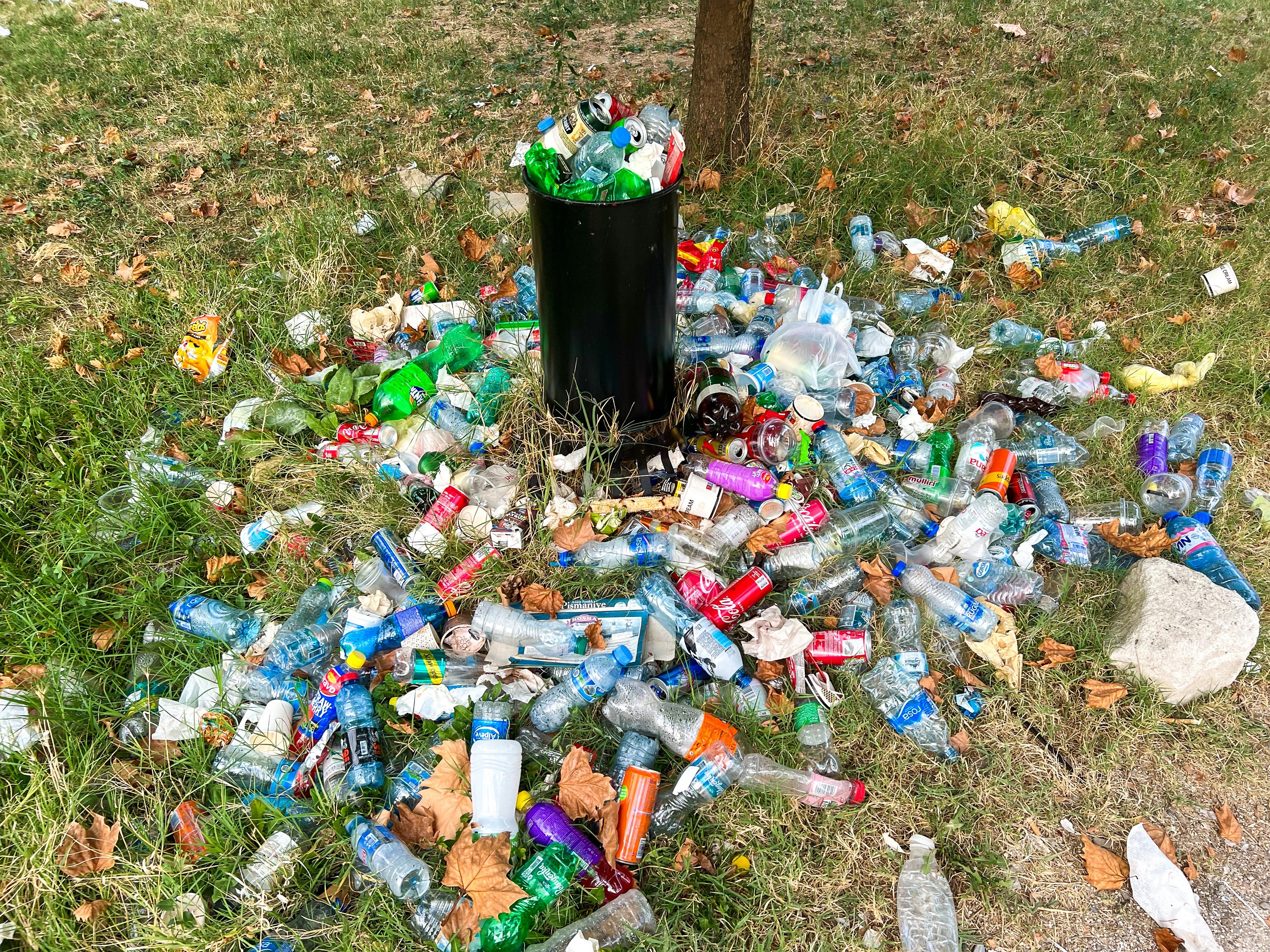 a pile of trash sitting next to a tree