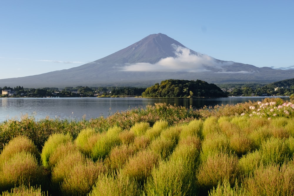 a lake with a mountain in the background