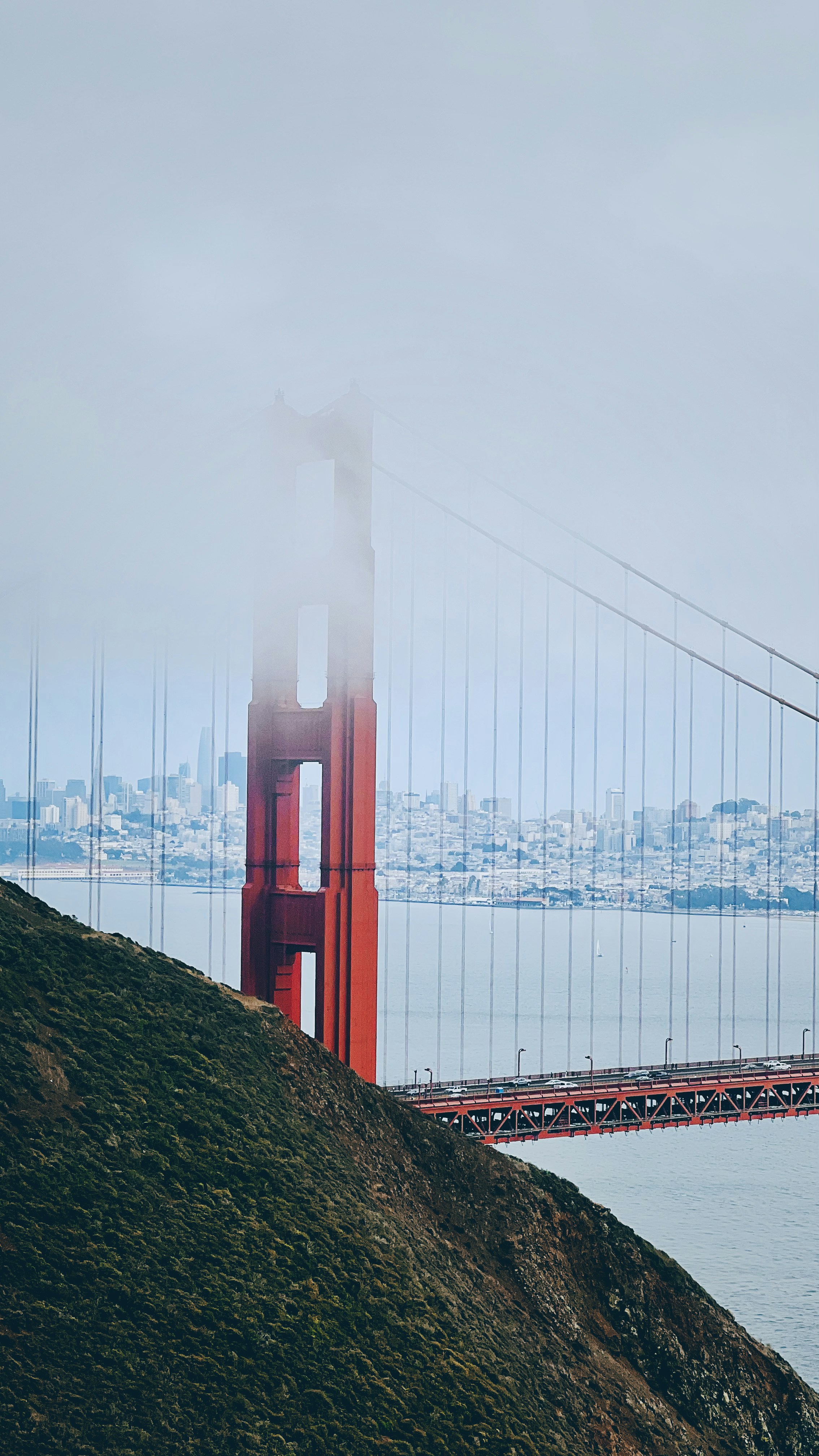 Photo by thelongfatnetwork