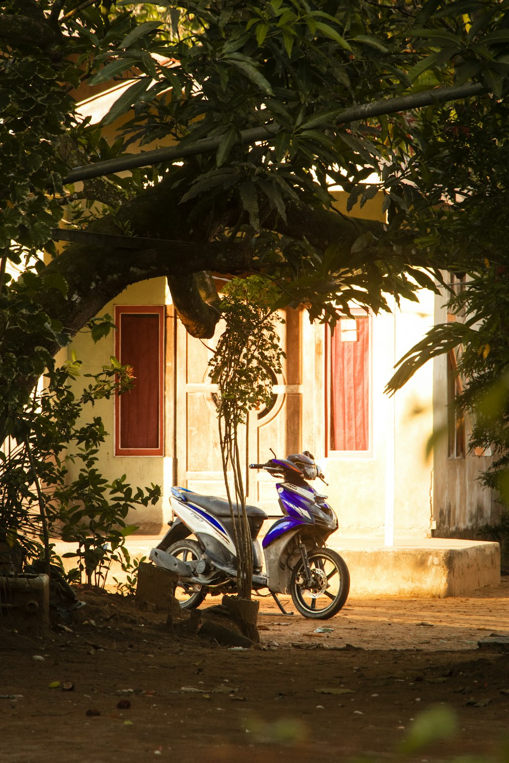 a scooter parked next to a tree in front of a house