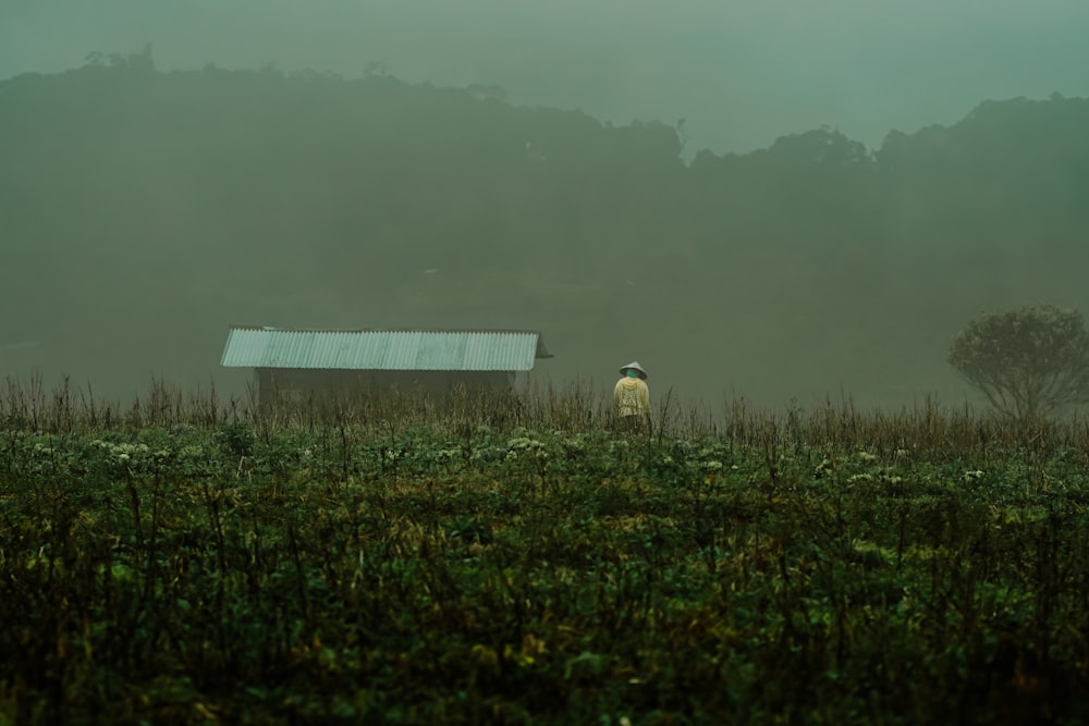 a person standing in a field with a barn in the background