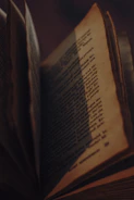 Close-up of a person holding a vintage book with sunlight highlighting the pages.