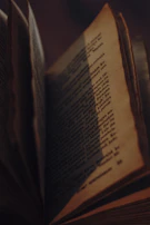 Close-up of an open book with warm sunlight casting gentle shadows on the pages.