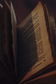 An artistic close-up of an open book with yellowed pages.