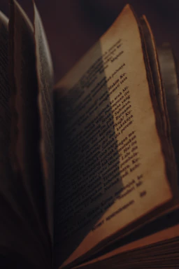 Close-up of an old, leather-bound book open on a wooden table with soft natural light.