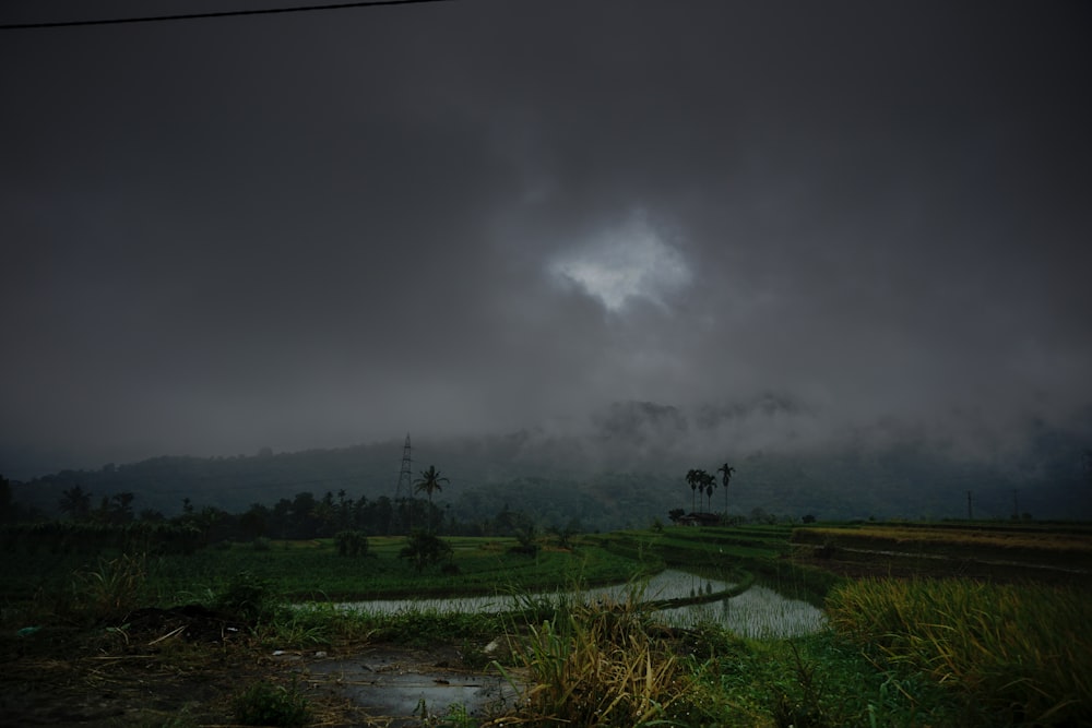 a rain storm is coming in over a rice field