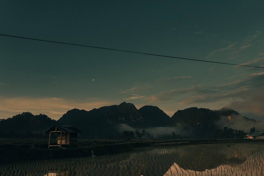 a house in the middle of a rice field