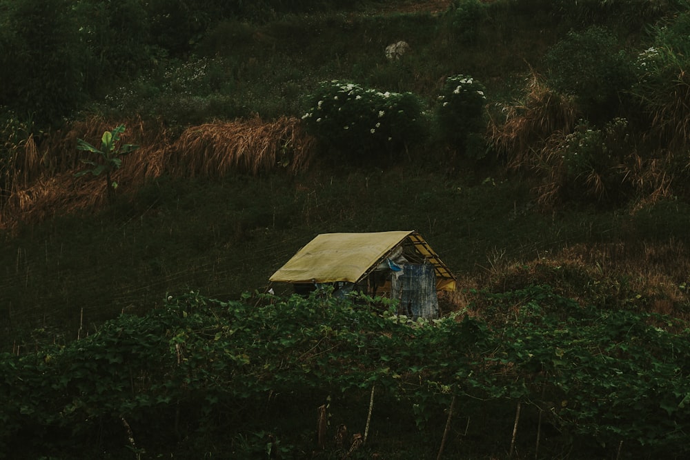 Ein kleines Haus auf einem üppig grünen Hügel