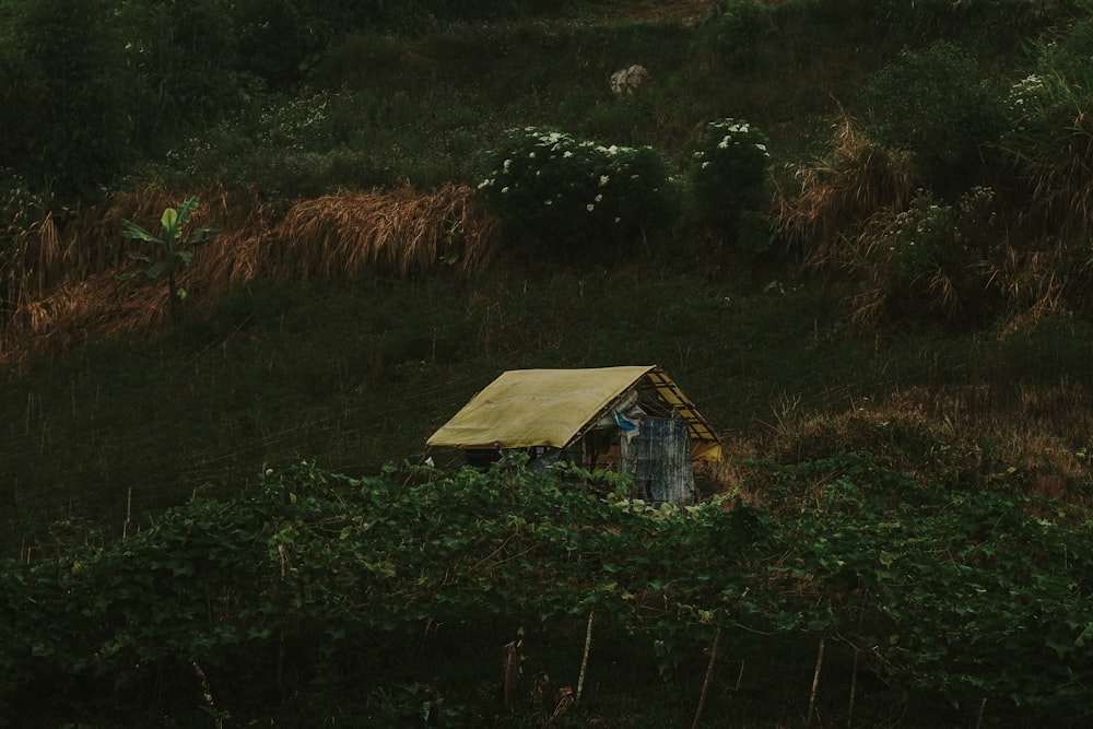 a small house sitting on top of a lush green hillside