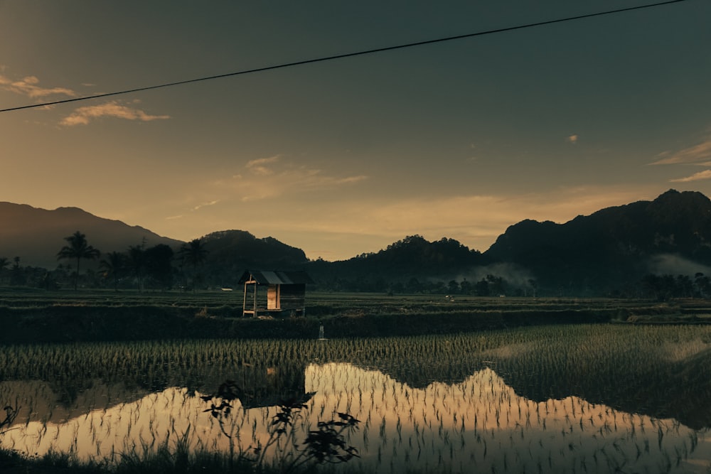 a house in the middle of a rice field