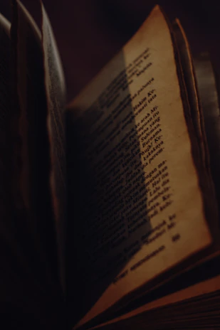 Close-up of an open antique book with yellowed pages and elegant typography.