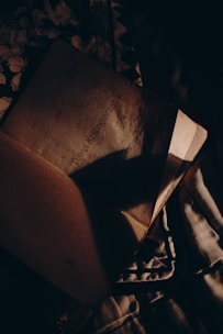 An open book with text on a page partially covered by shadows. The lighting is dim and creates a mysterious, intimate atmosphere, with fabrics underneath adding texture.