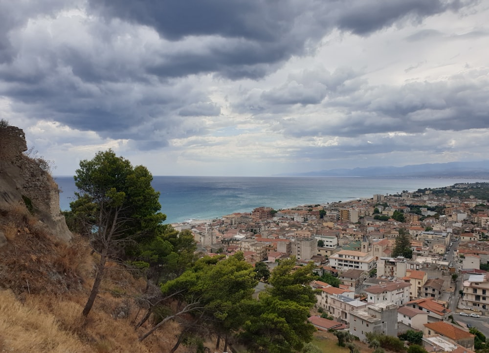 Una vista de una ciudad y el océano desde una colina