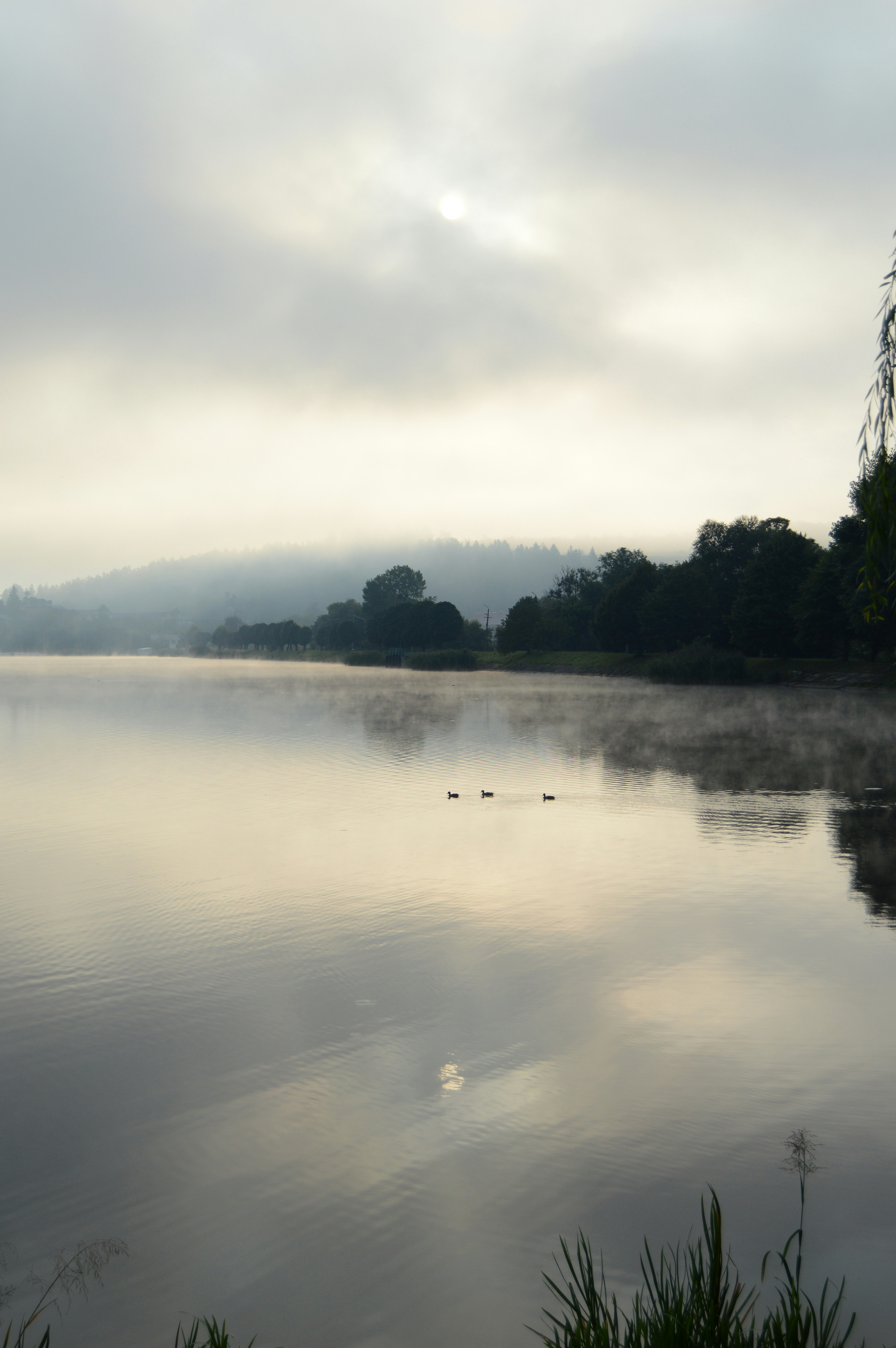 Photo by liora_kedem