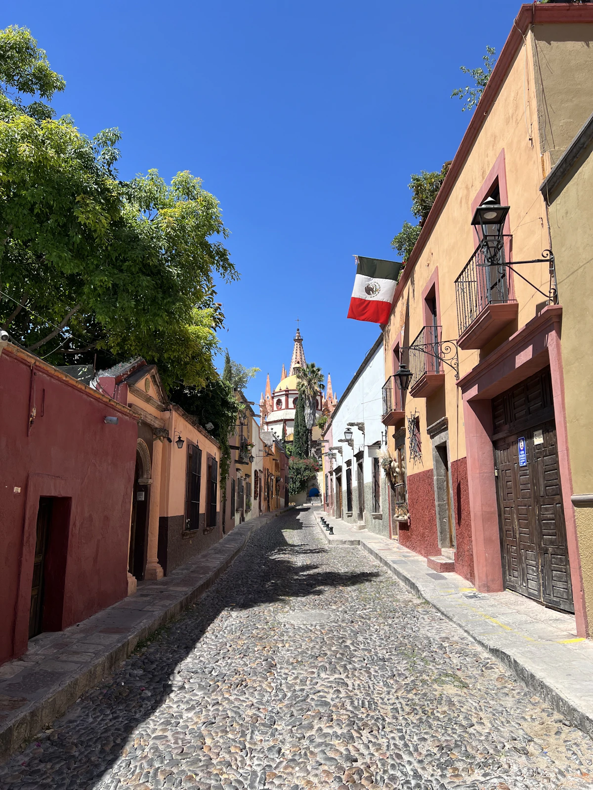 Cobblestone street and pink cathedral spires of San Miguel de Allende