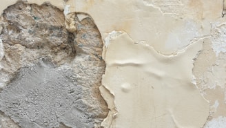 A close-up view of a wall with peeling paint and exposed plasterwork. The image shows various textures, including rough, uneven stonework and a smooth plaster surface that appears worn and cracked. The paint is chipped away in places, revealing multiple layers beneath.