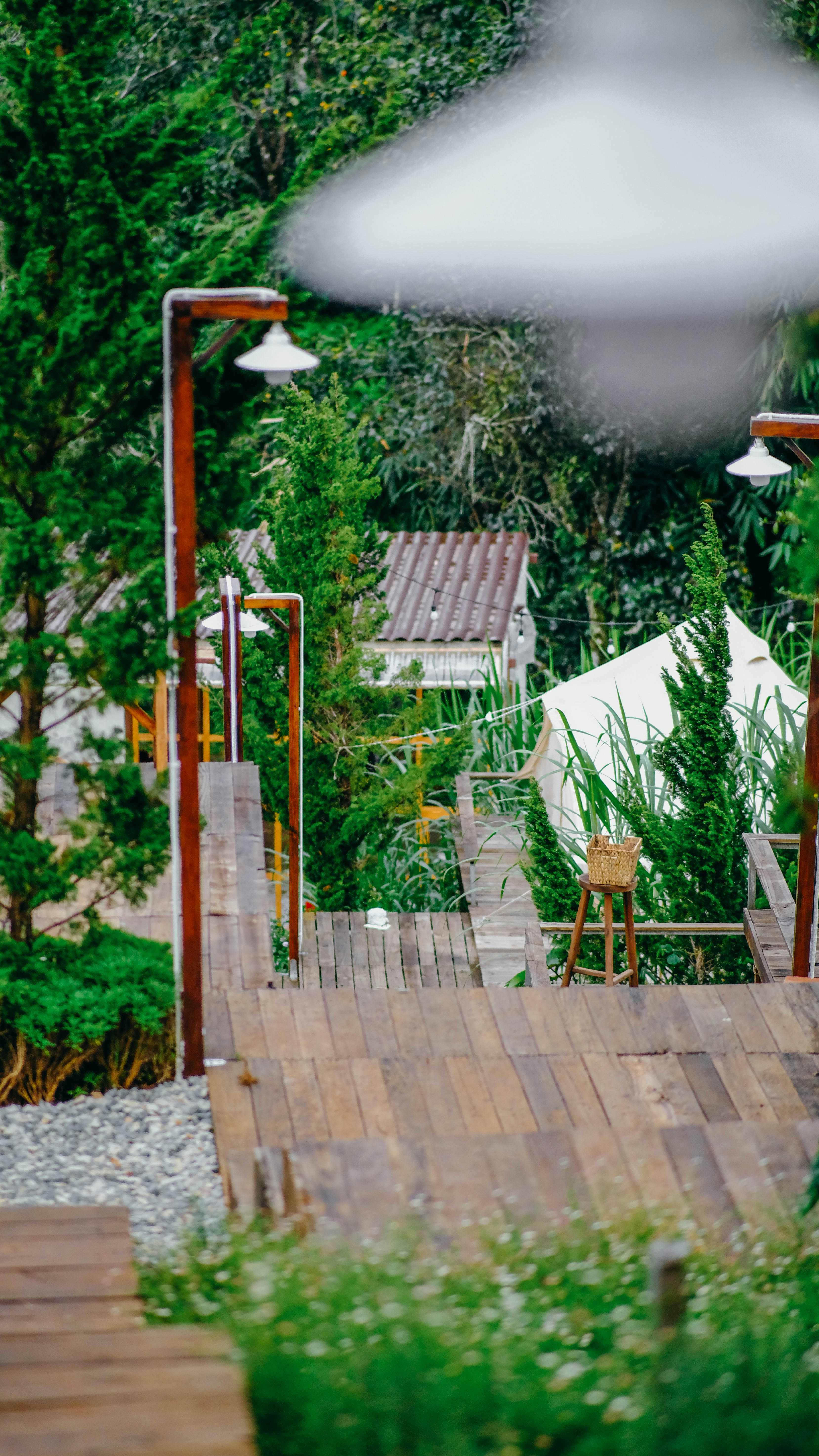 Photo by anniehatuanh