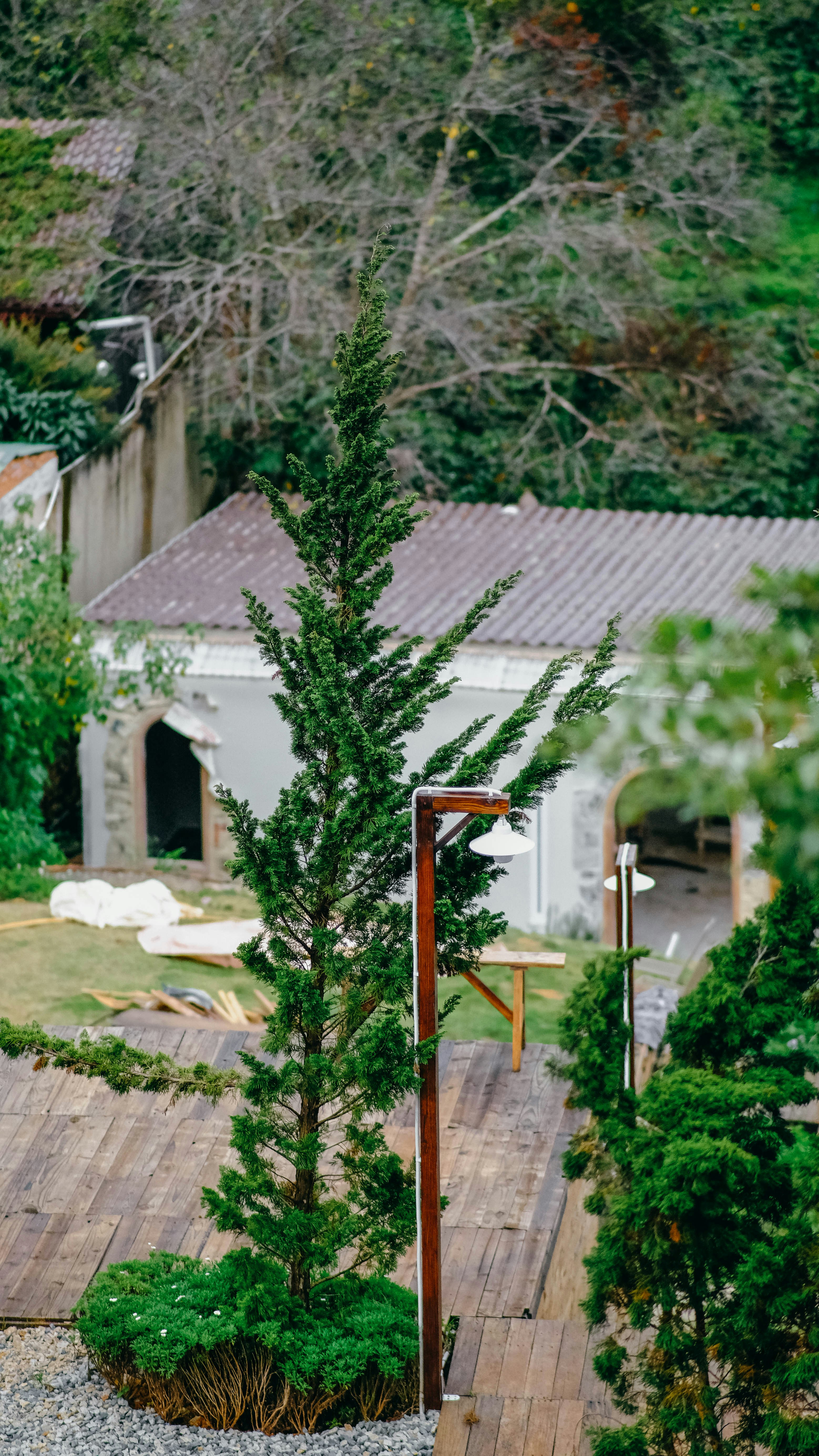 Photo by anniehatuanh