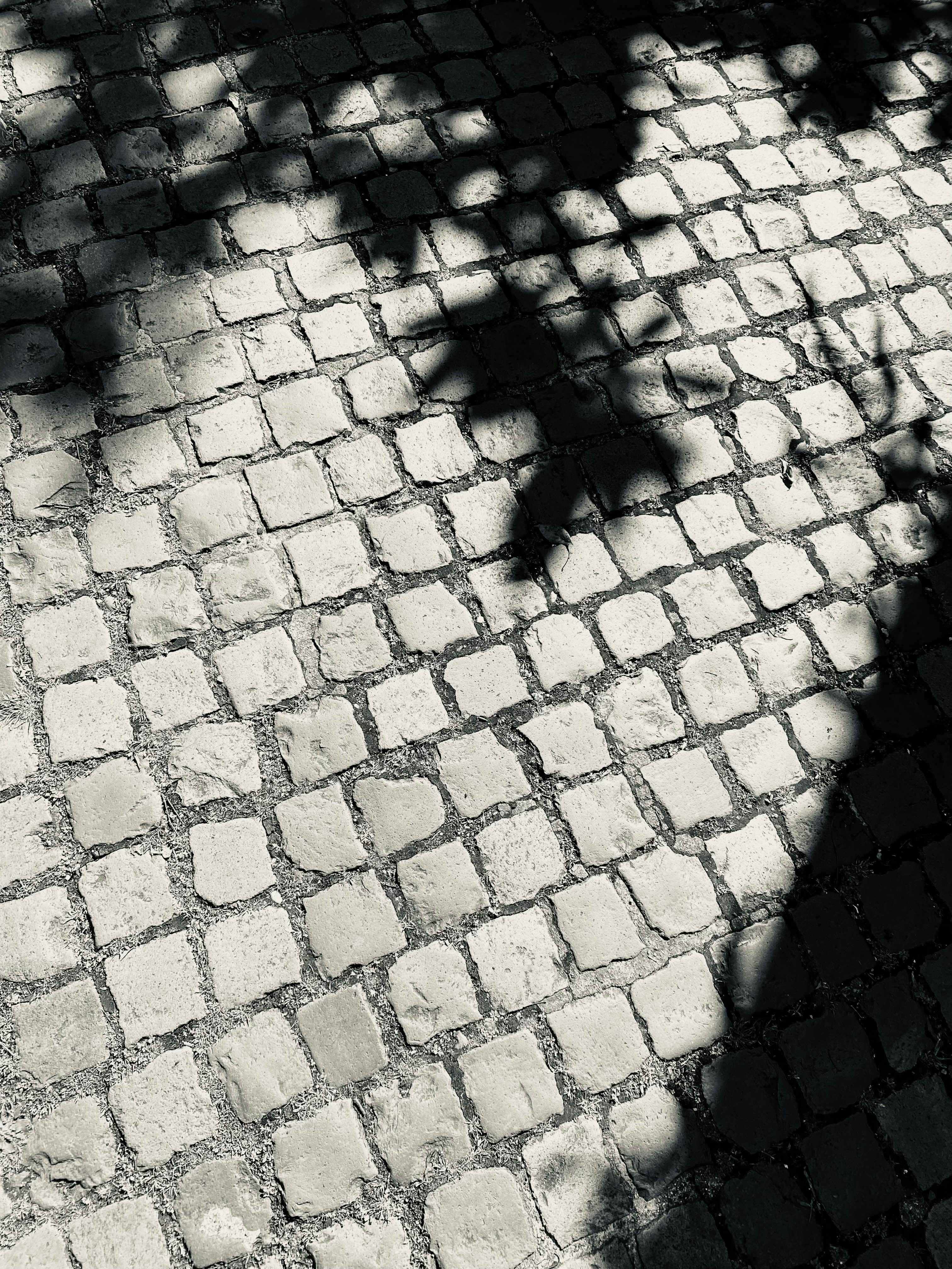 a black and white photo of a sidewalk