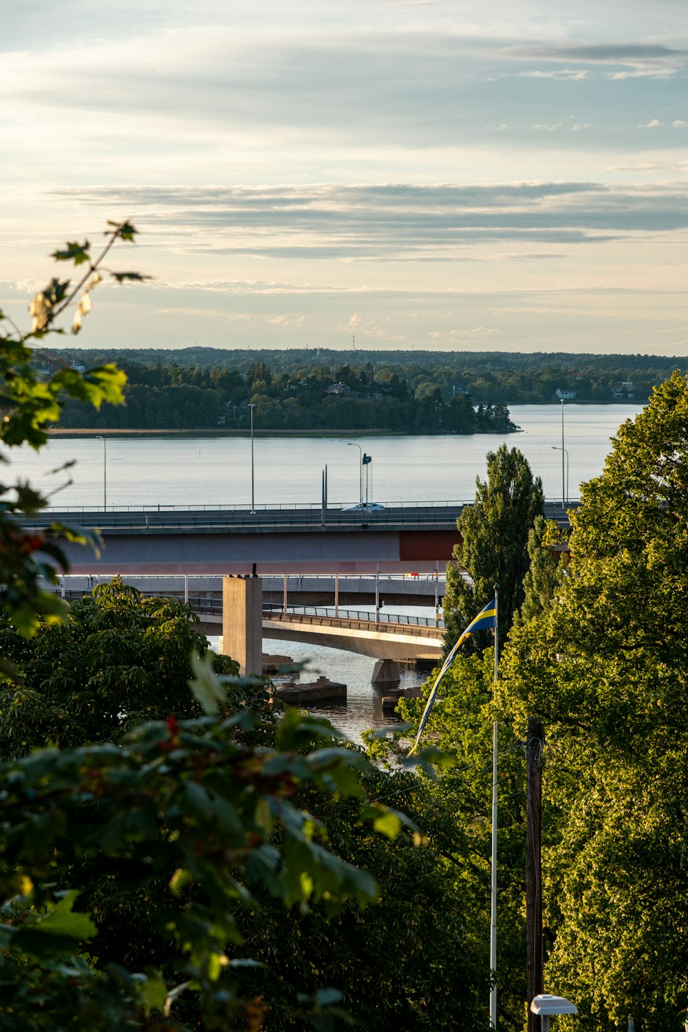 Ein Zug, der über eine Brücke über einen Fluss fährt