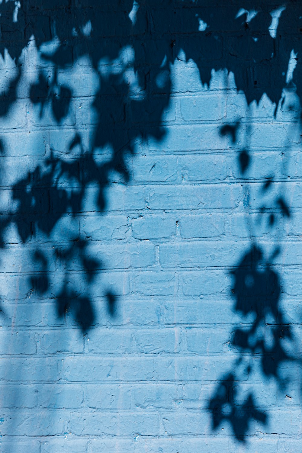 una pared de ladrillo azul con una sombra de árbol en ella