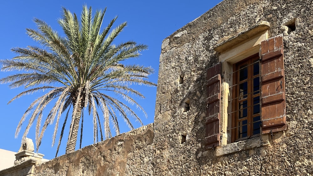 a palm tree in front of a stone building