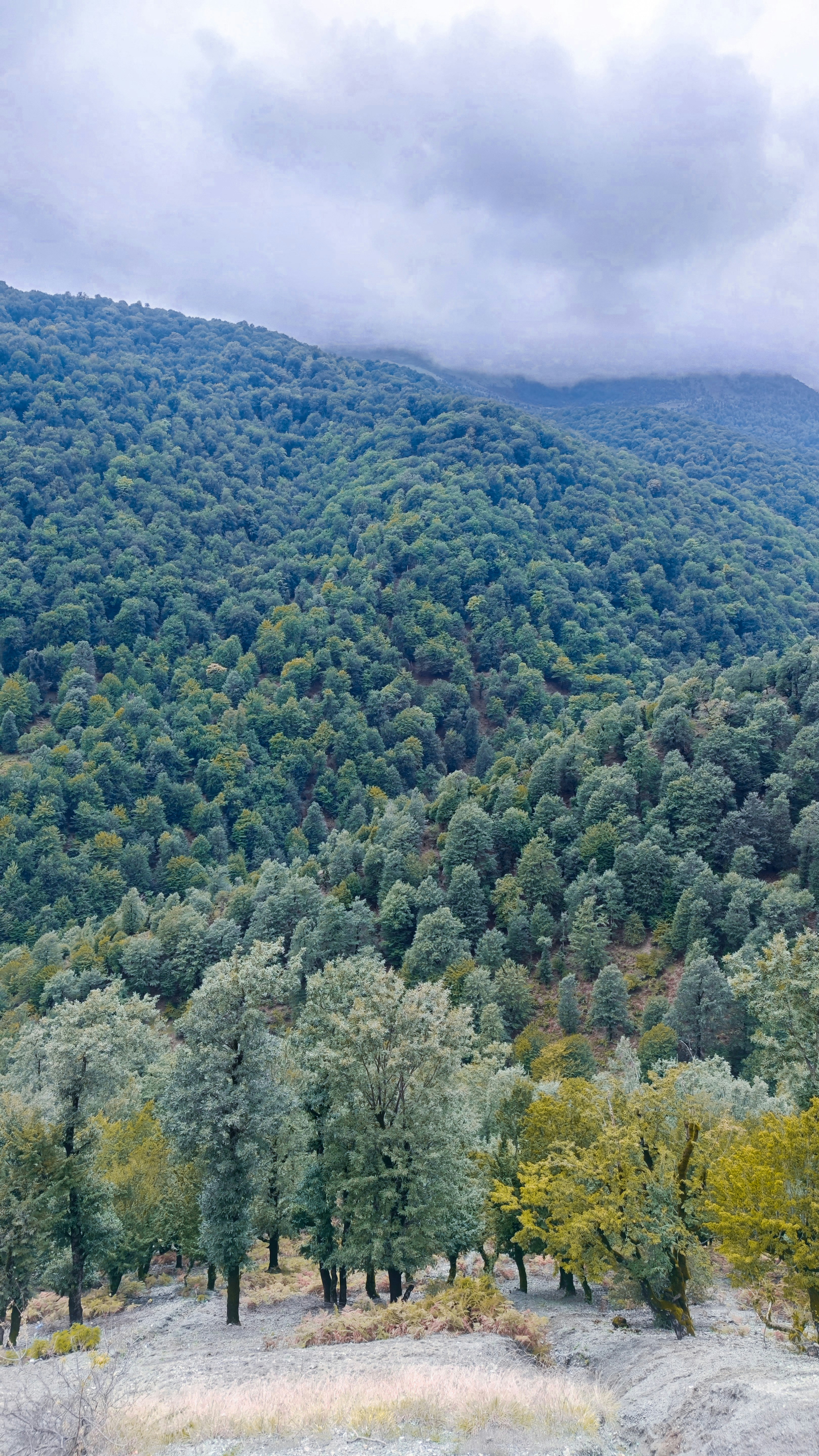 Photo by habibeskandari