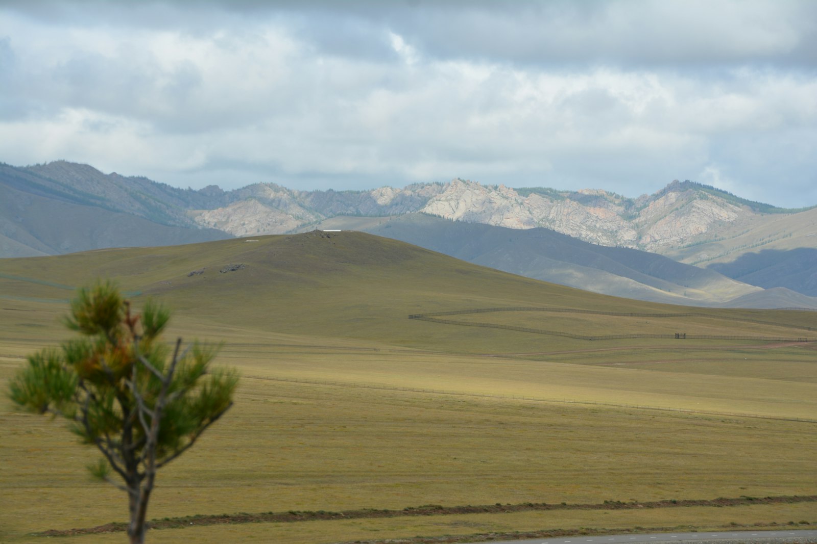 Den mongolske steppe — landskabet hvor cashmere, yak- og kameluld kommer fra