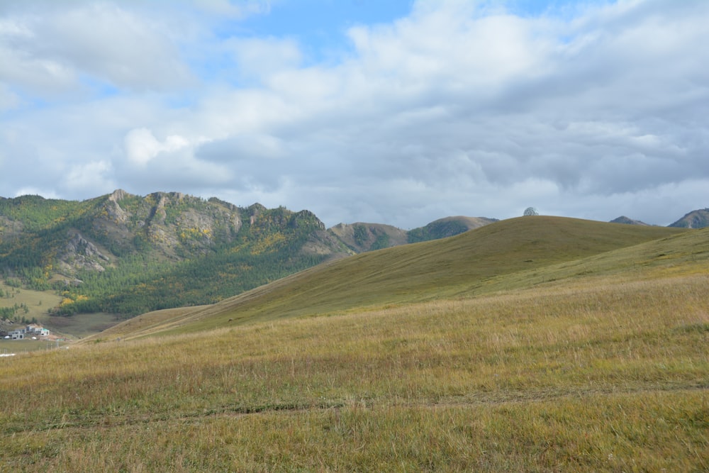 a grassy field with mountains in the background