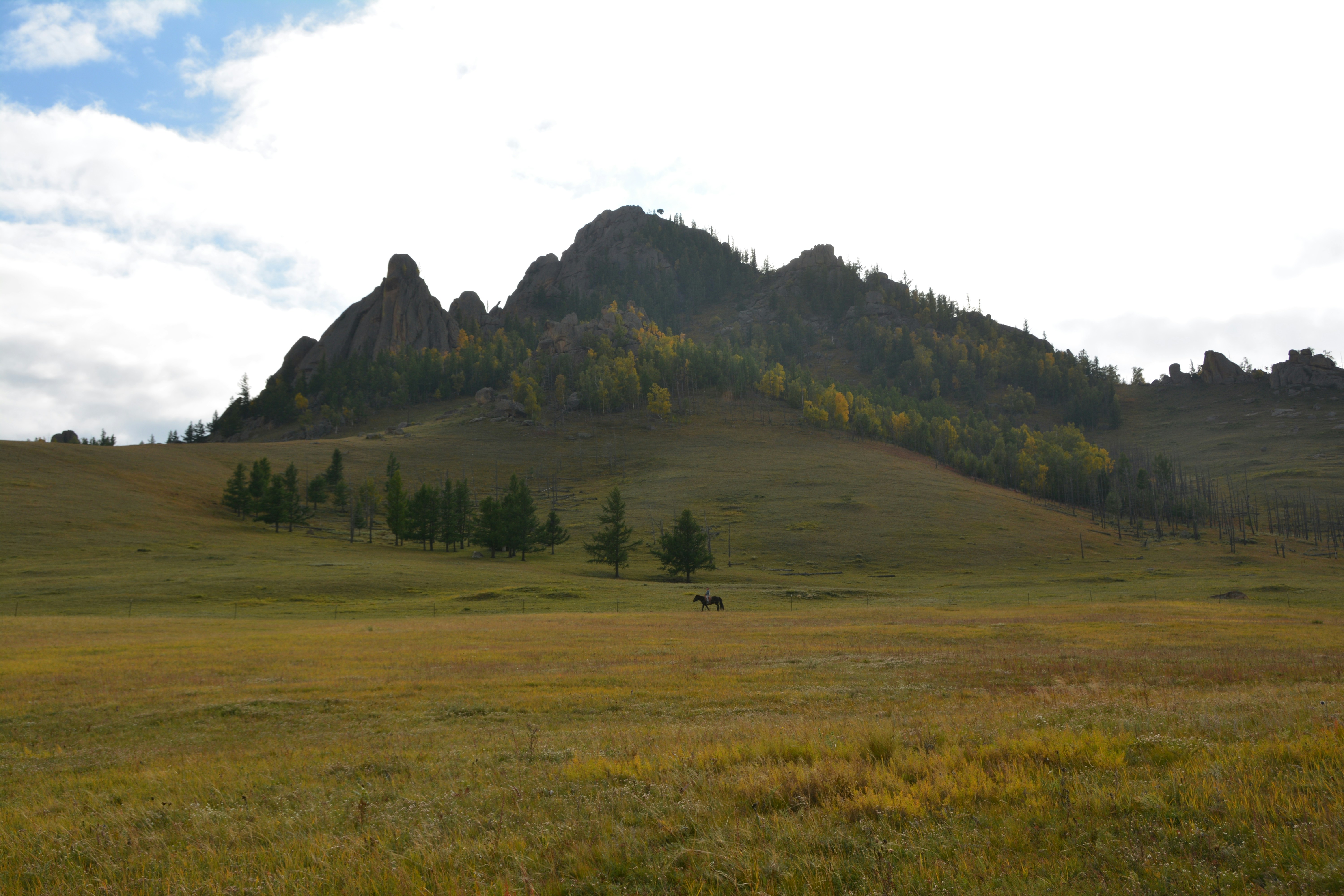 Photo by artististanbul