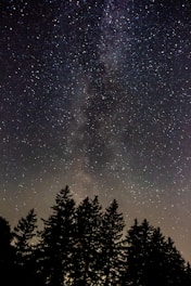 A vibrant starry galaxy backdrop with silhouettes of diverse family members reaching out to each other across space.