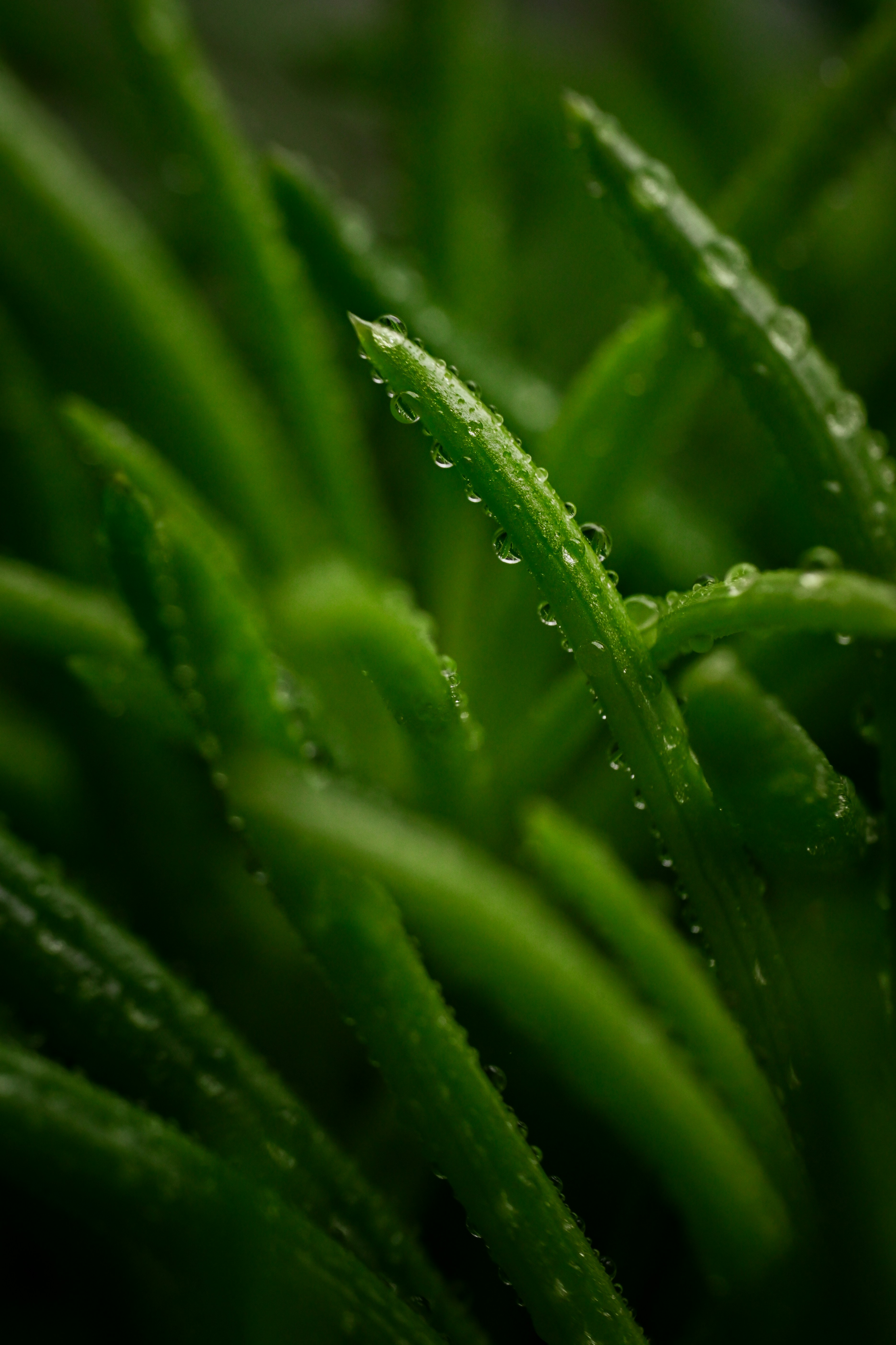 Photo by alexandra_p_d