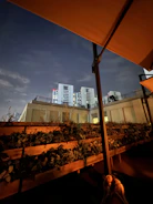 Cozy rooftop terrace with plants and city skyline view at dusk.